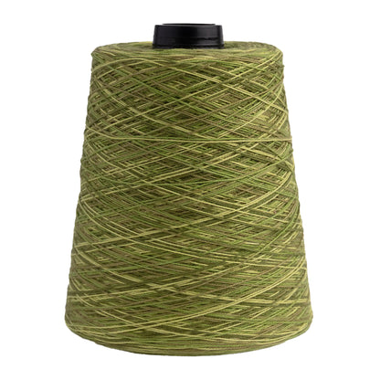 Maurice Brassard Coton Space Dyed Ne 8/2